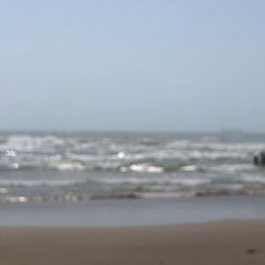 Meet your Posher, Delaney